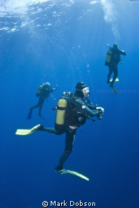 Divers doing a safety stop after dive. EOS 20d 1 DS125 st... by Mark Dobson 
